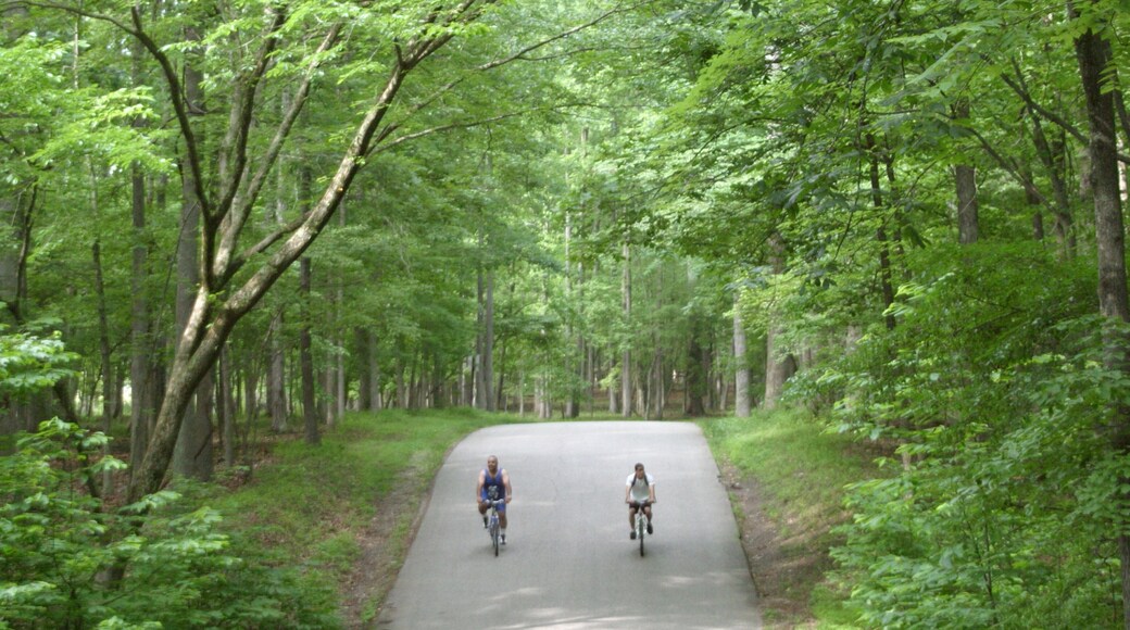 Newport News som inkluderar en trädgård, skogslandskap och cykling