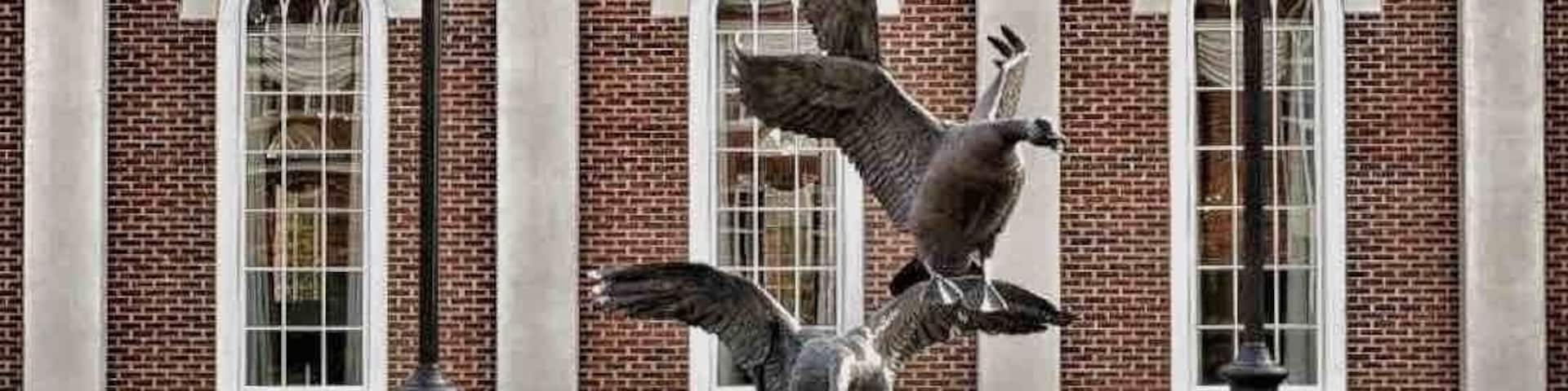 Soar 🦅 #LivingAWanderfulLife