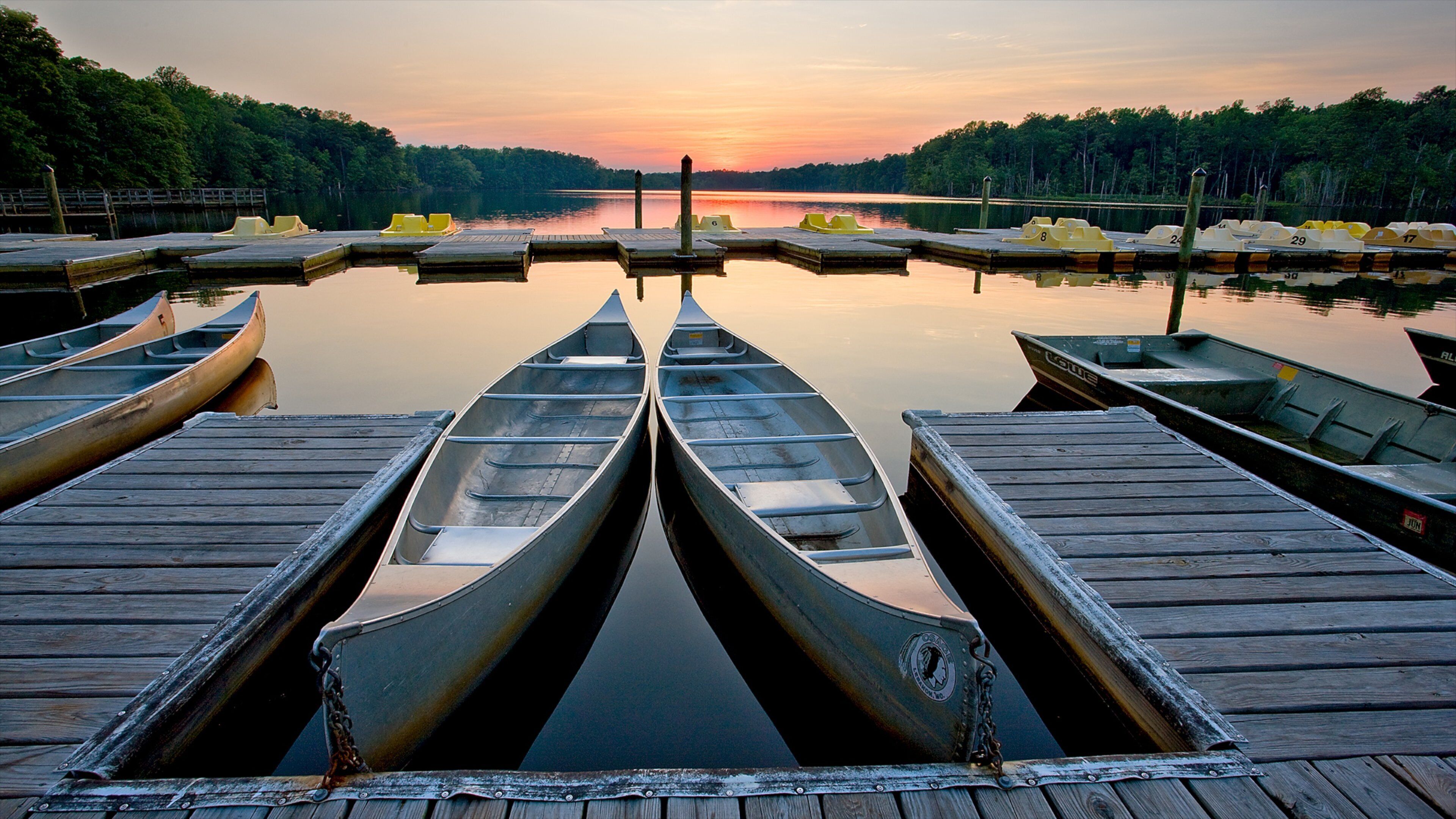 Newport News som visar en å eller flod, en hamn eller havsbukt och en solnedgång