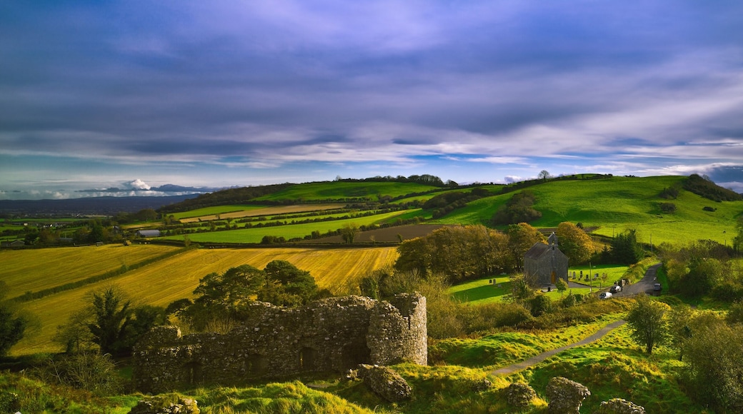 จังหวัดลาวิส