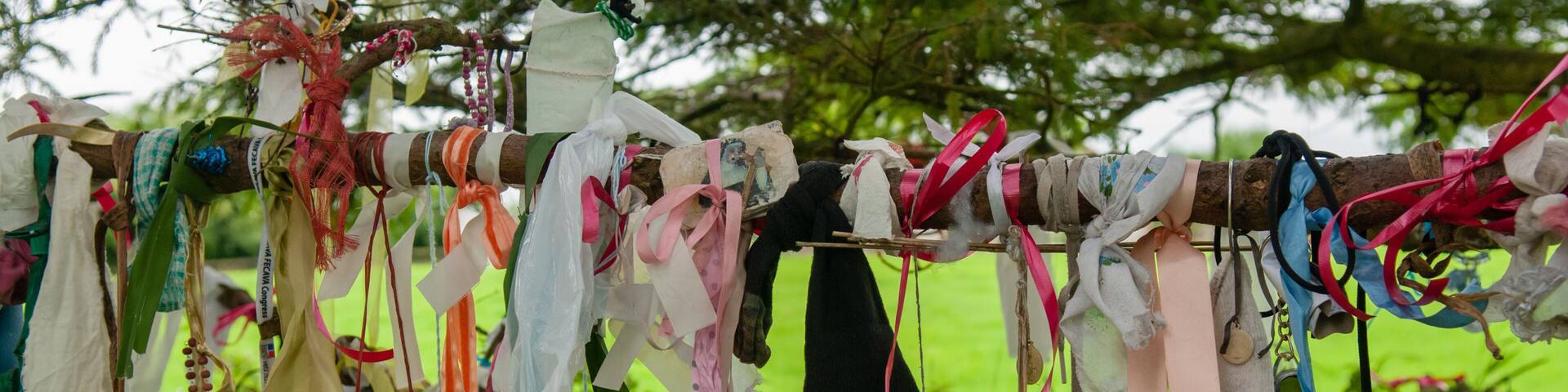 Ribbons, cloth and gifts hanging from the branches of a tree at the Holy Well shrine for Saint Brigid of Kildare.