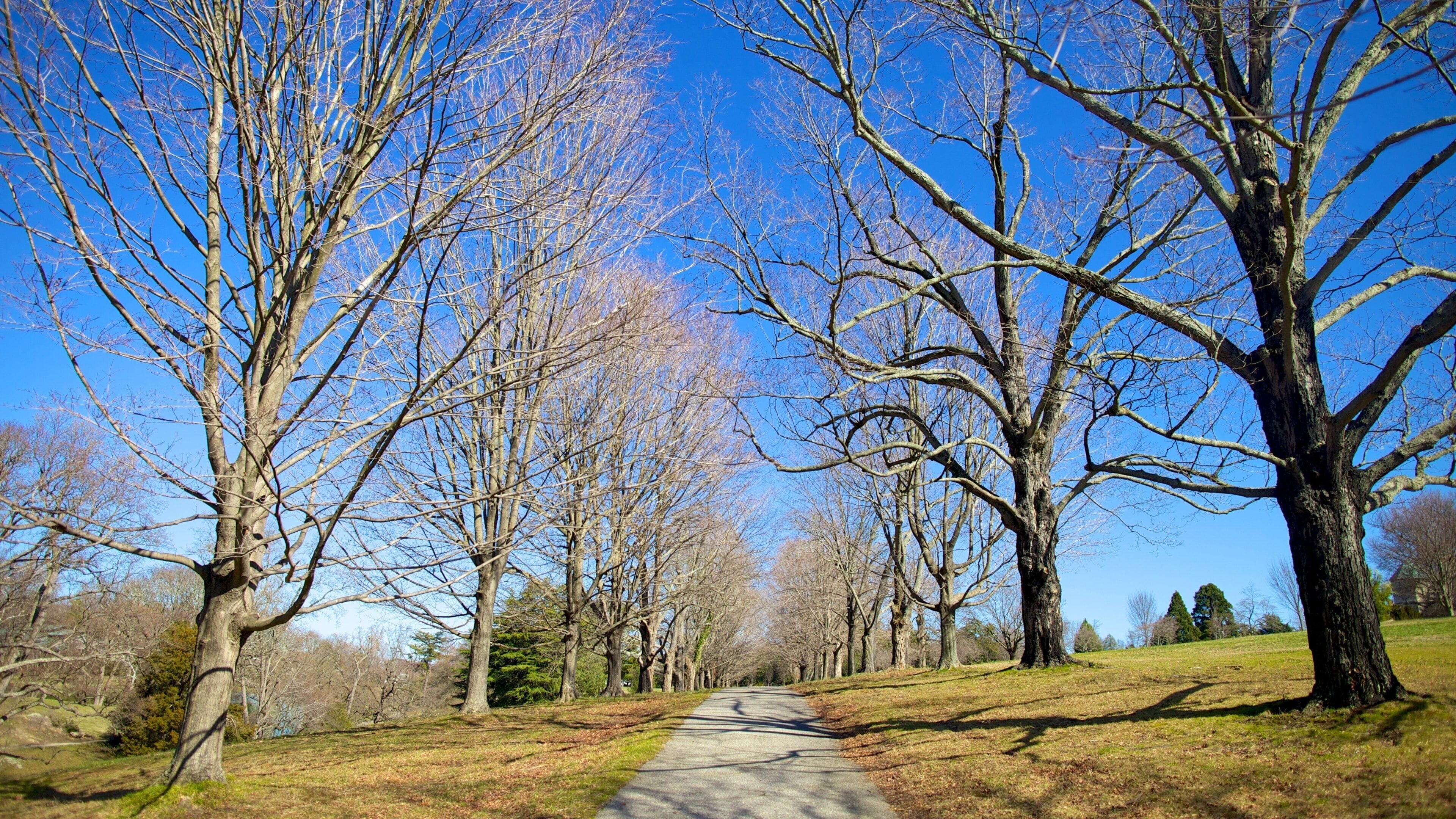 Central Virginia which includes a garden