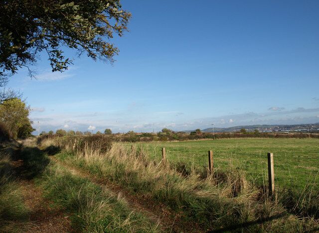 Track to Boagside Farm The last use of this site was for a mink farm.