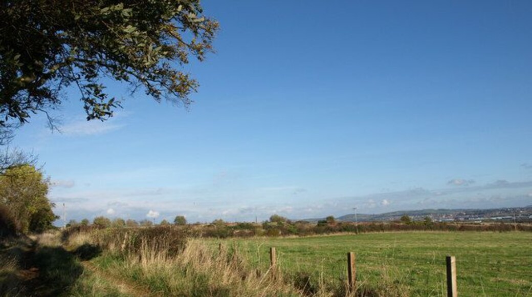 Track to Boagside Farm The last use of this site was for a mink farm.