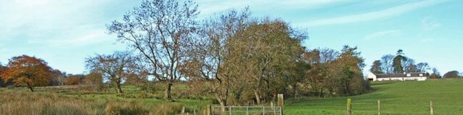 A rural landscape with a stream, grassy fields, a wooden fence, and trees.