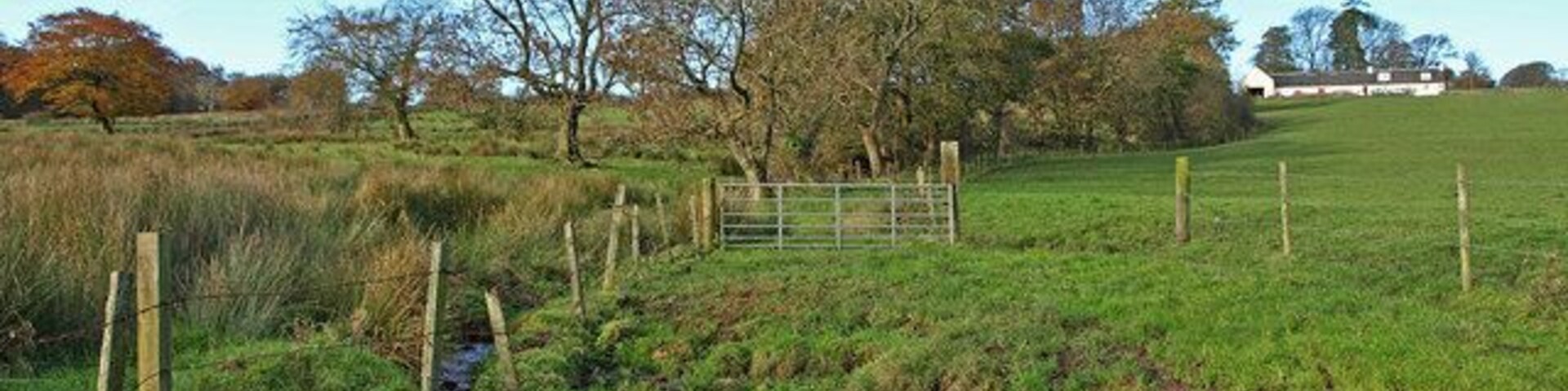 Uma paisagem rural com um riacho, campos gramados, uma cerca de madeira e árvores.