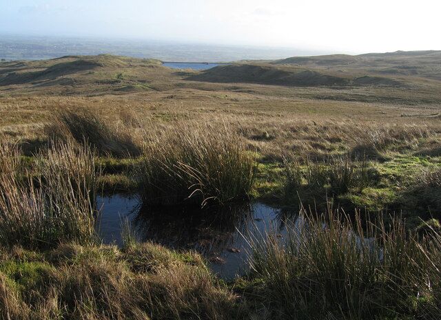 Very Wet Moor Pundeavon Reservoir in the near distance.