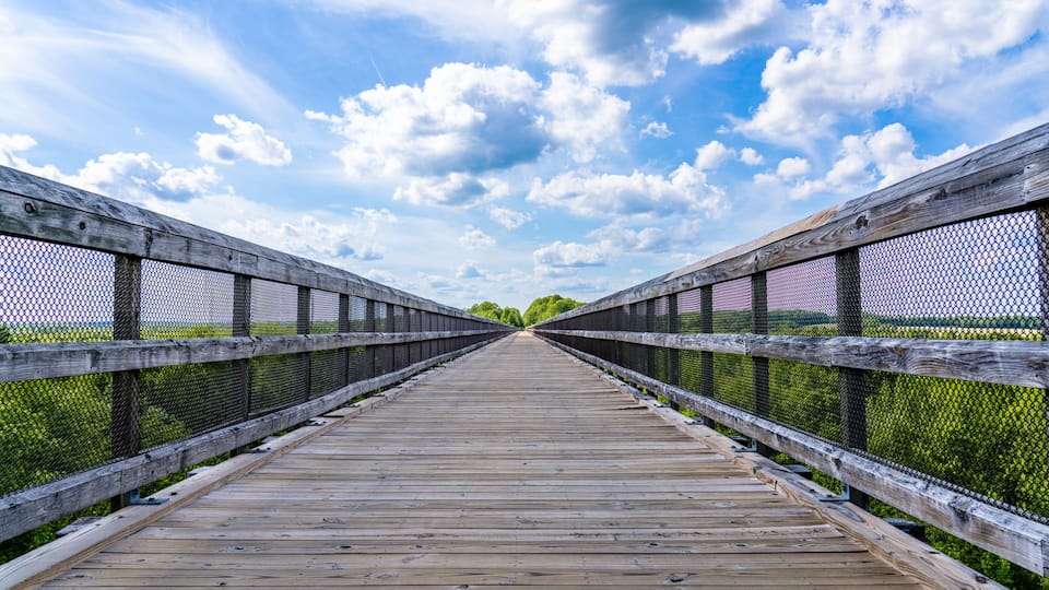 A wooden boardwalk with mesh railings leading to a distant green landscape under a partly cloudy sky.