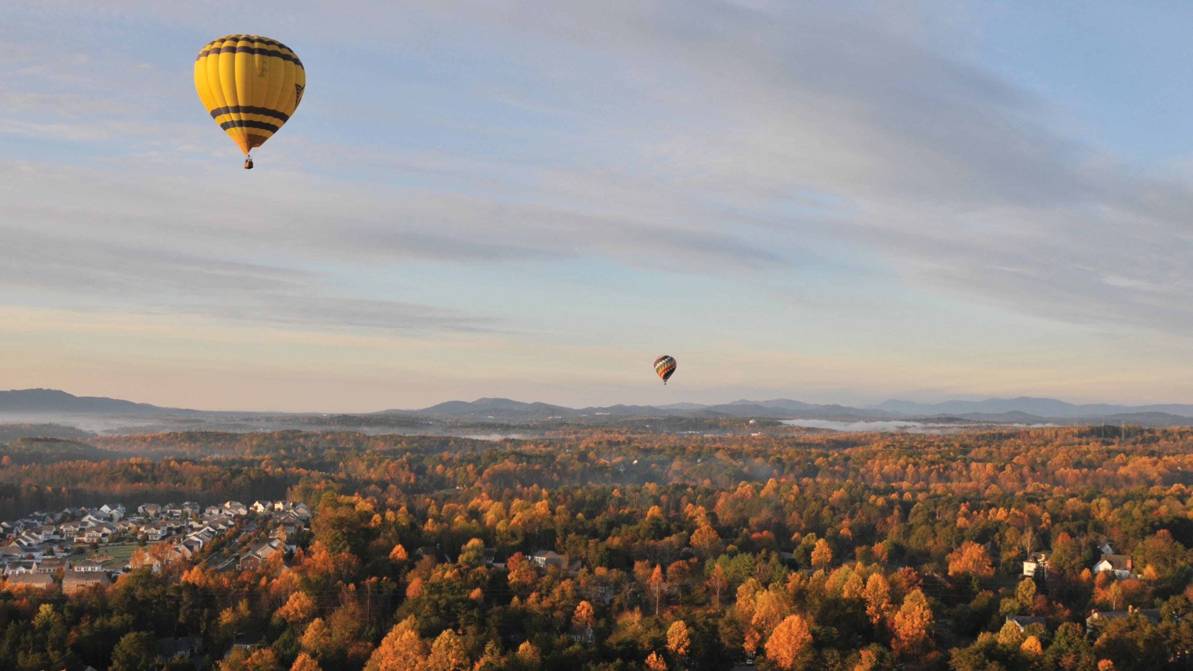 Charlottesville showing autumn leaves, landscape views and forest scenes