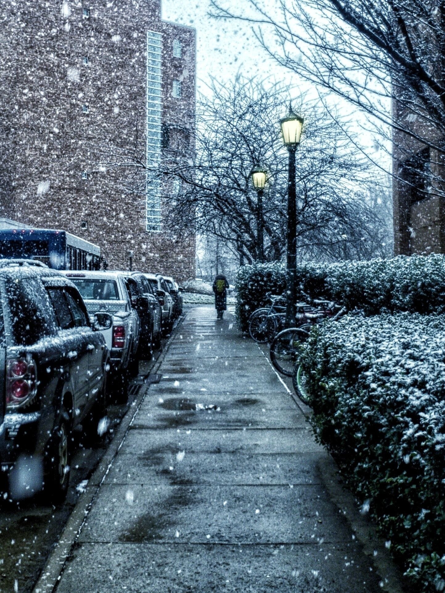 Snow day in Virginia
#Snow #Virginia #UniversityOfVirginia