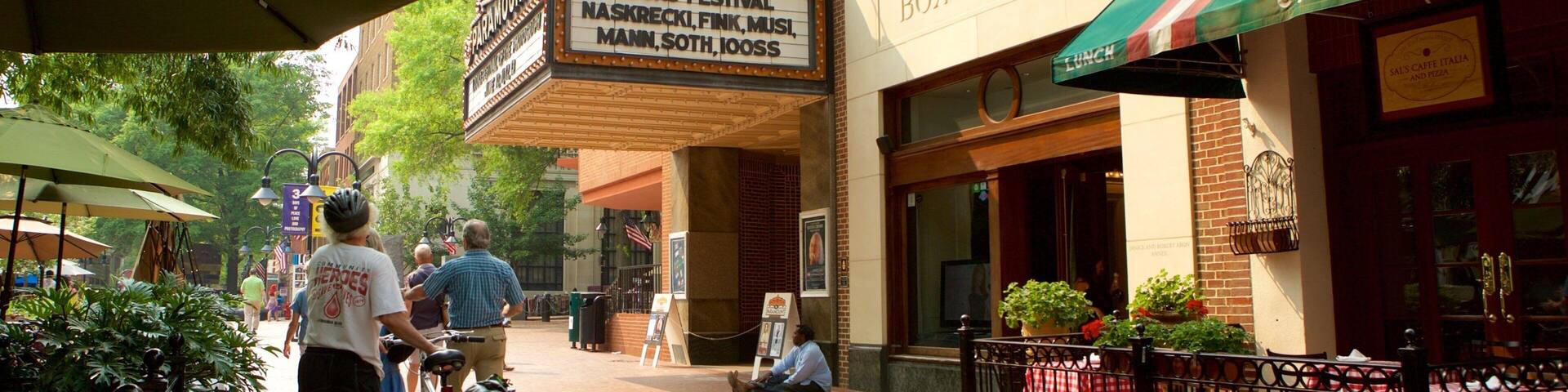 Charlottesville mostrando señalización, escenas urbanas y elementos del patrimonio