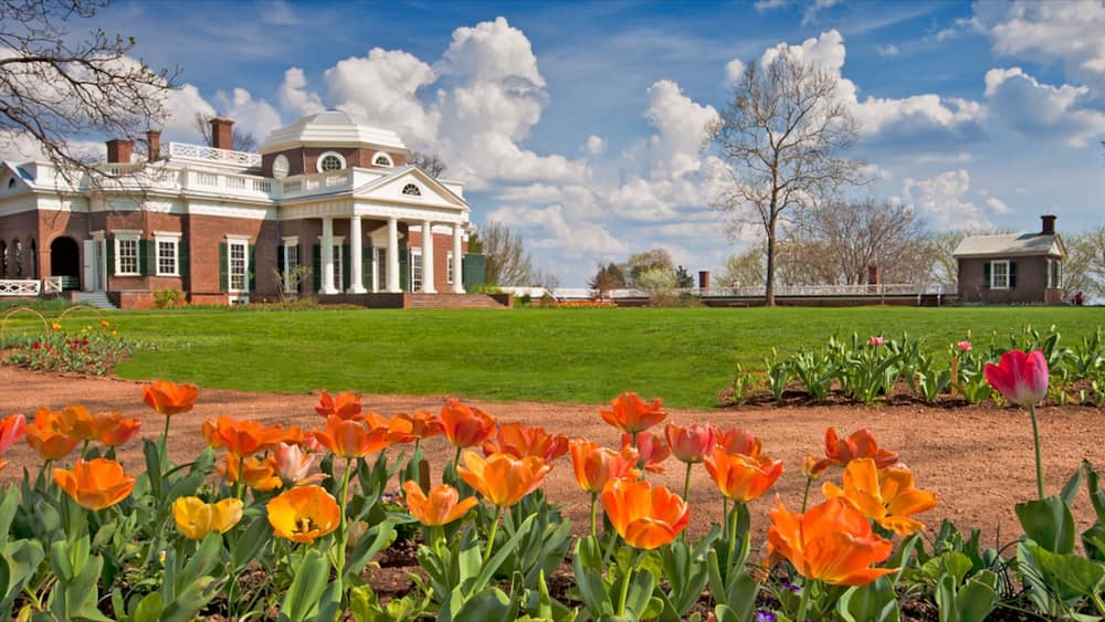 Charlottesville showing heritage architecture, flowers and a garden