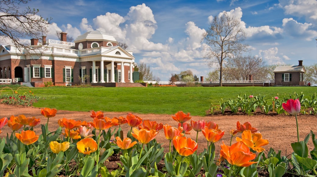 Charlottesville featuring heritage architecture, flowers and a garden