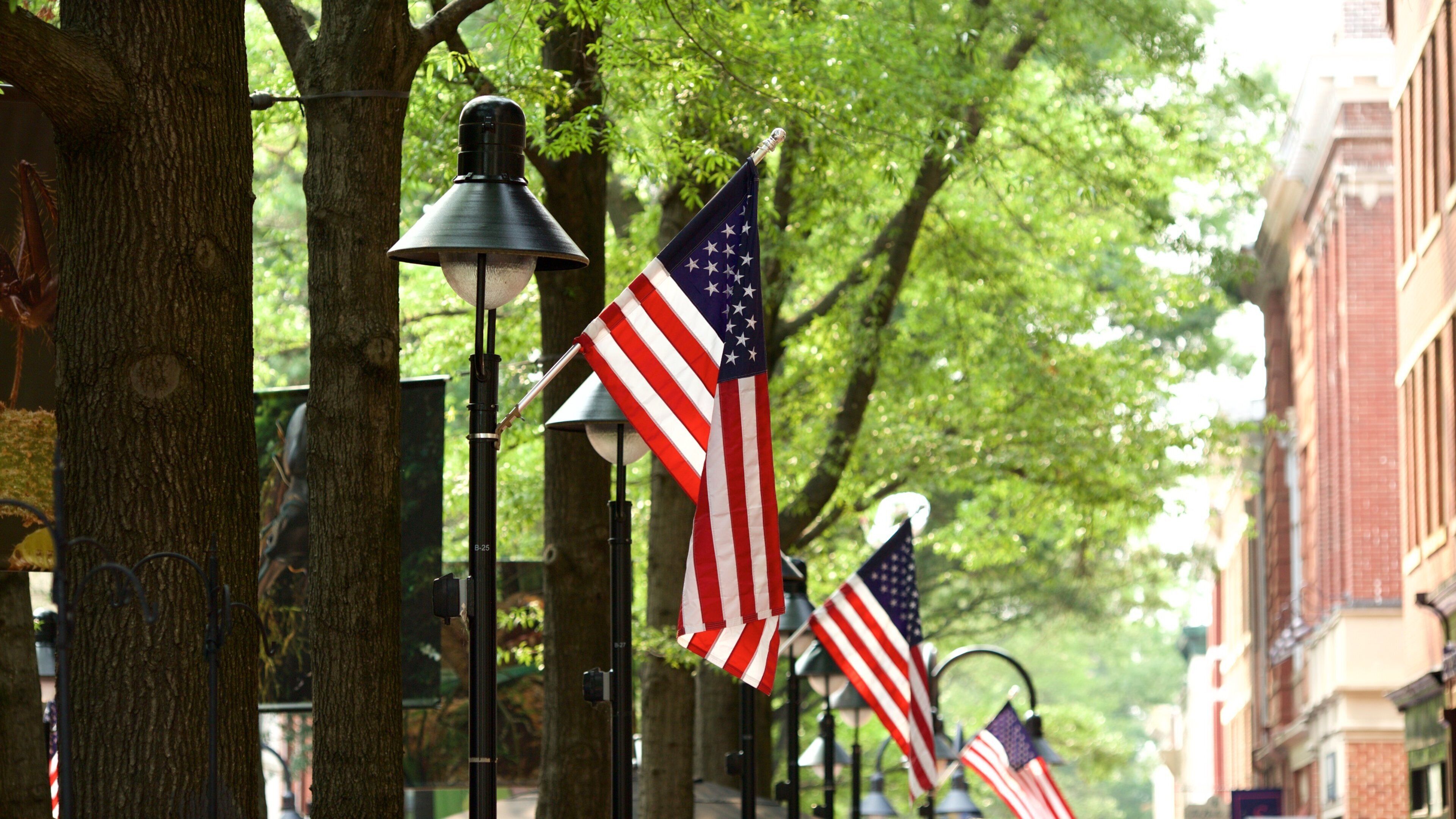 Charlottesville que incluye escenas urbanas