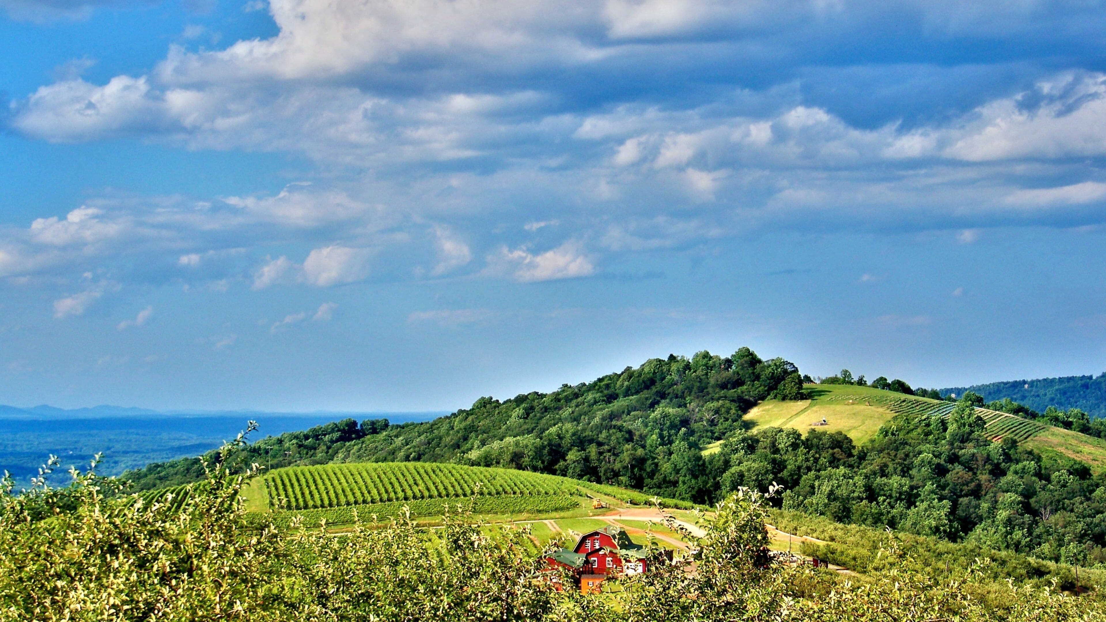 Charlottesville showing landscape views, tranquil scenes and farmland