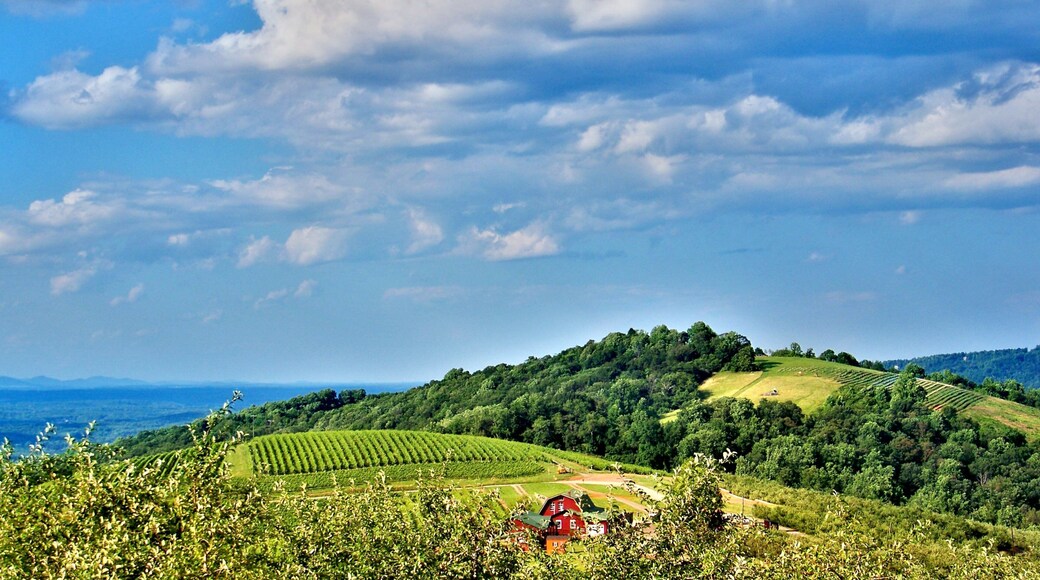 Charlottesville showing landscape views, tranquil scenes and farmland