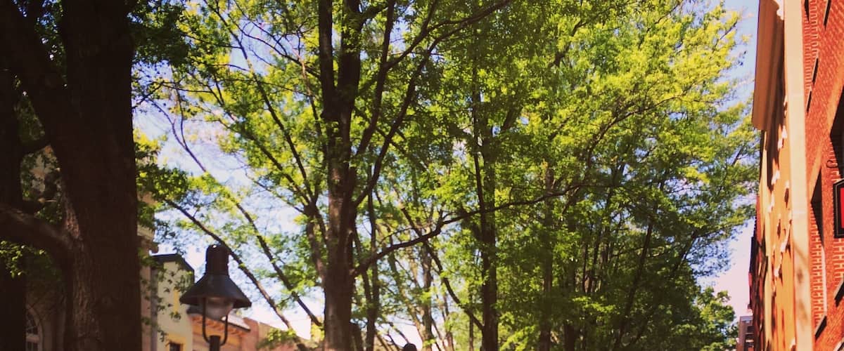 The Downtown Mall in Charlottesville is a pedestrian mall. It's loaded with great restaurants, quirky shops, and usually has some entertainers as well. There are even historical walking tours and ghost tours. This is one of many reasons I #lovemytown!