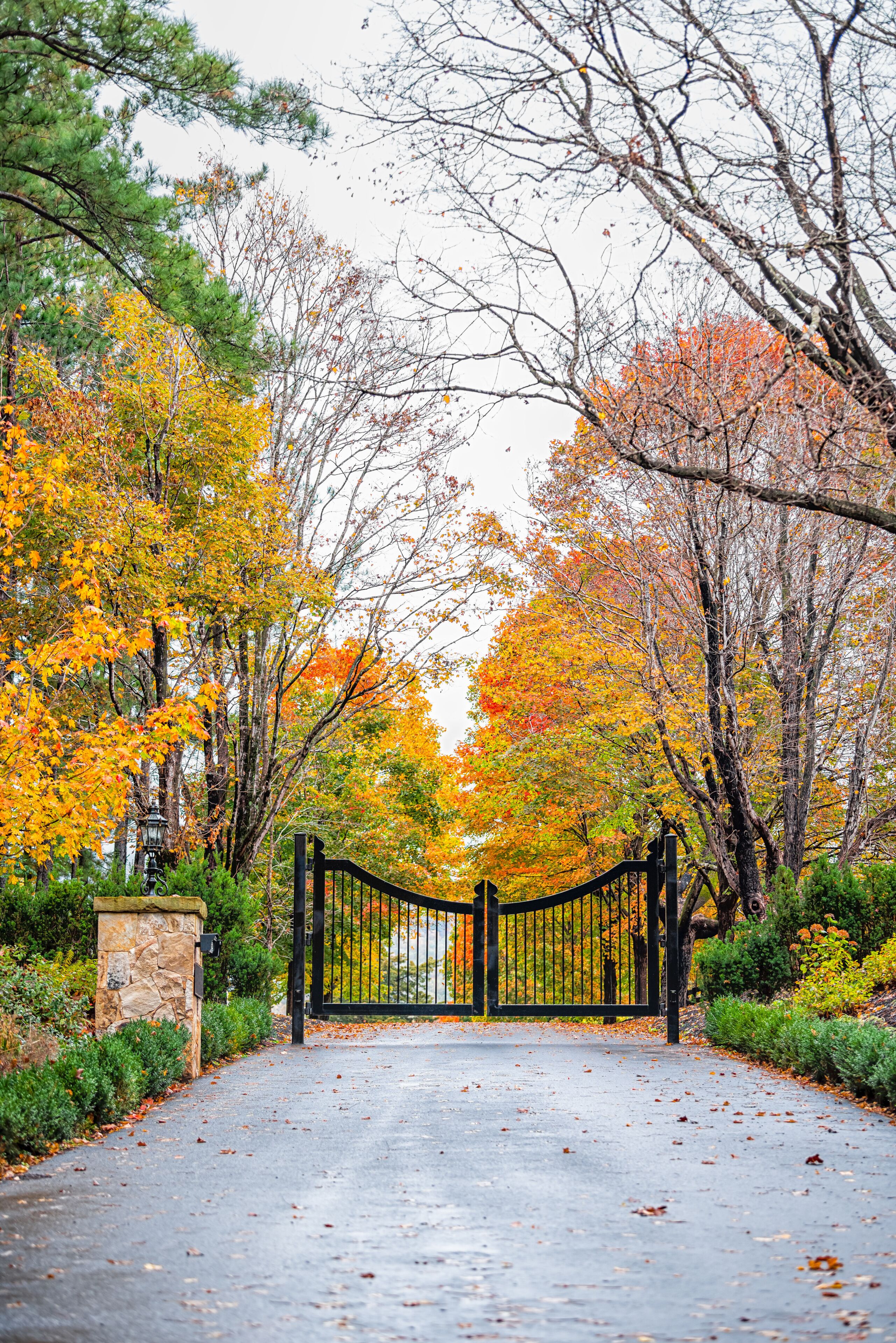 Countryside rural paved road to property estate with gates gateway, colorful autumn fall trees foliage in Virginia