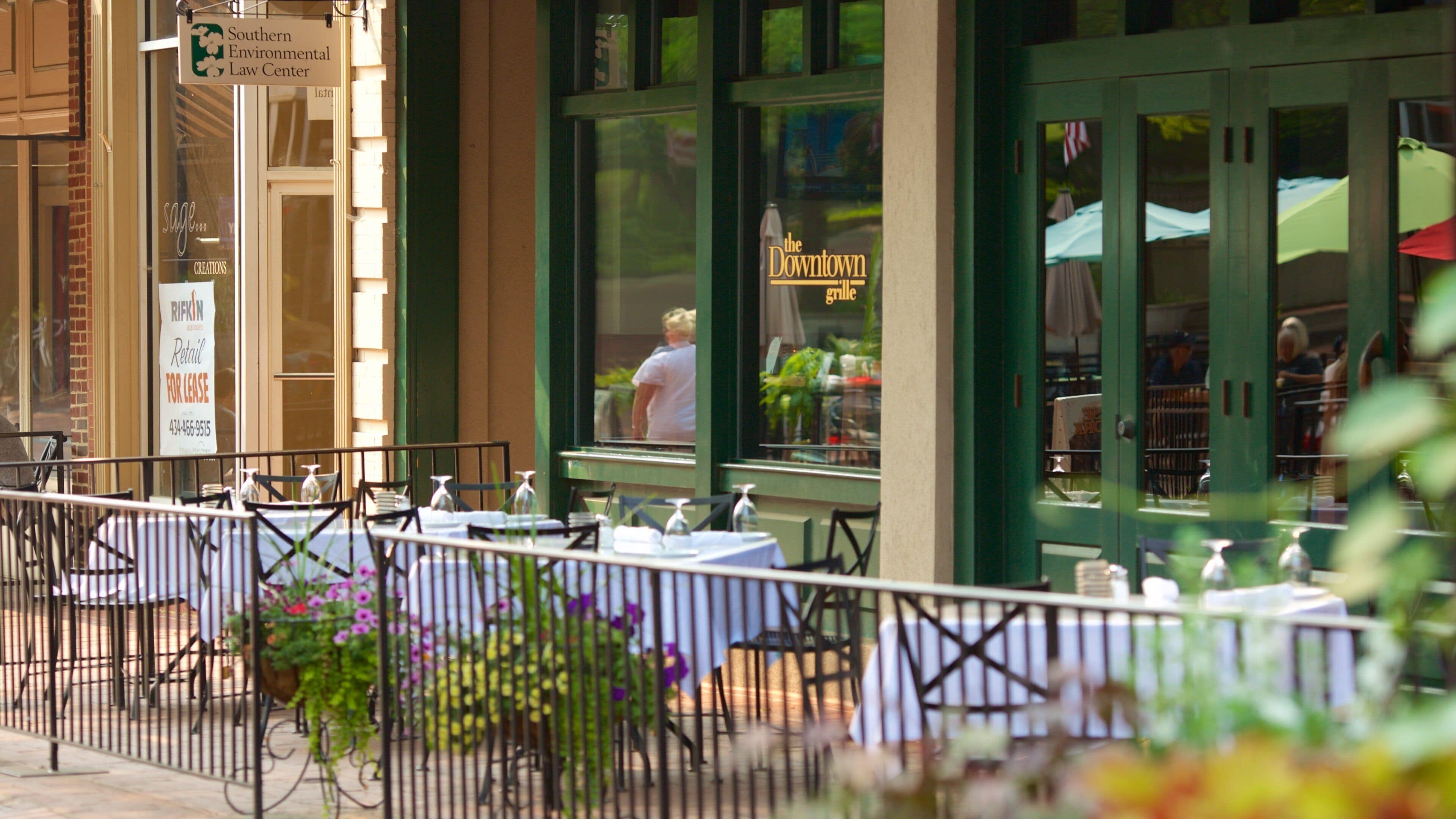 Charlottesville showing cafe scenes and outdoor eating