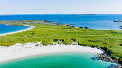 Un paisaje costero con una playa arenosa, una zona cubierta de hierba y un mar azul claro.