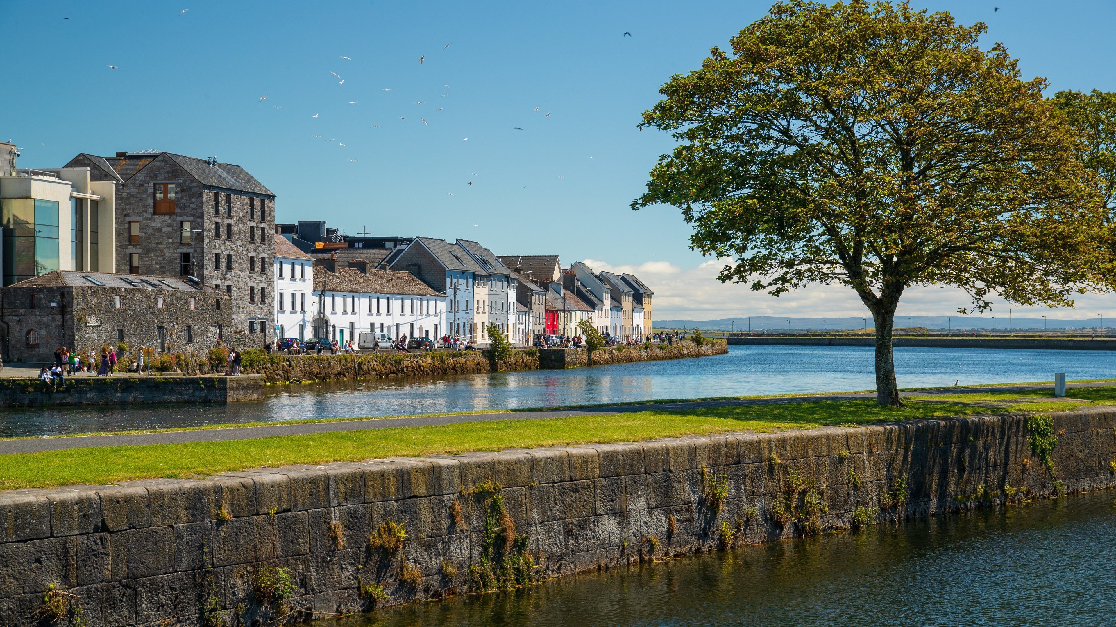 Galway City Centre showing a coastal town and a bay or harbor