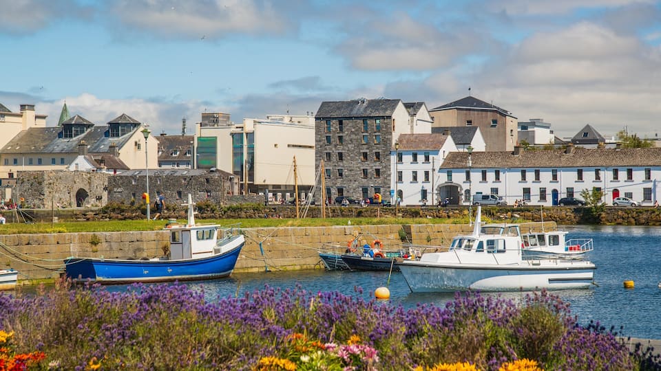 A harbor with boats, a stone wall, and colorful flowers.