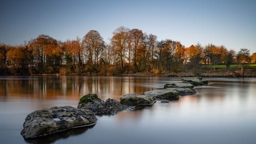 The stepping stones to the Salmon fishing beats at Castleconnell.