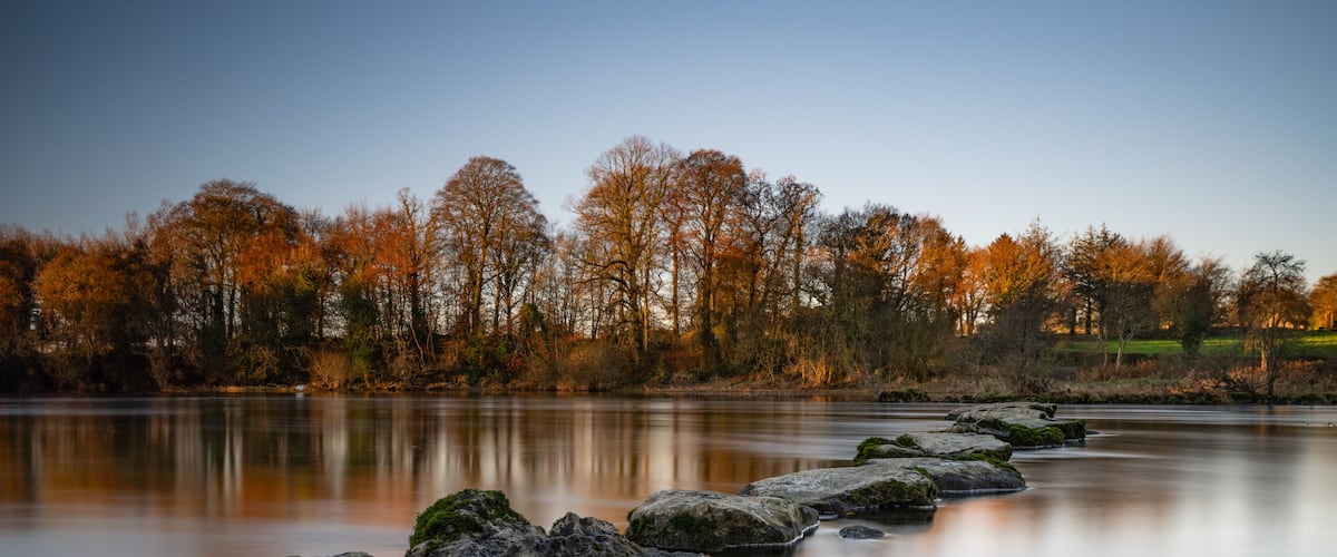 A calm river with a series of rocks in the foreground and a forest of autumn-colored trees in the background.