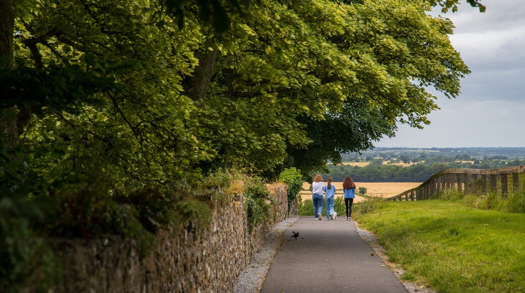 Cashel as well as a small group of people