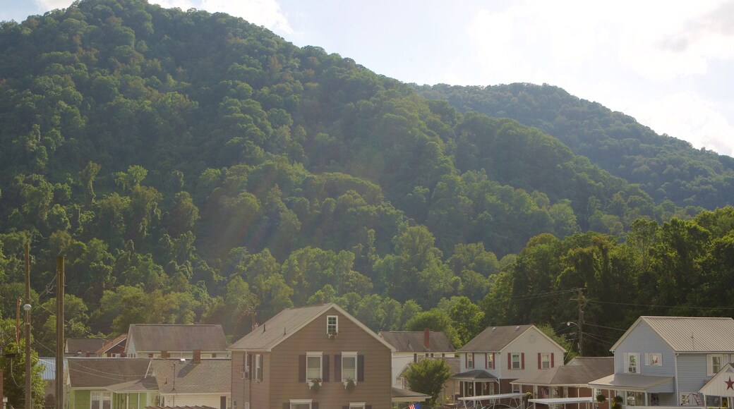 Central West Virginia which includes a small town or village, tranquil scenes and mountains