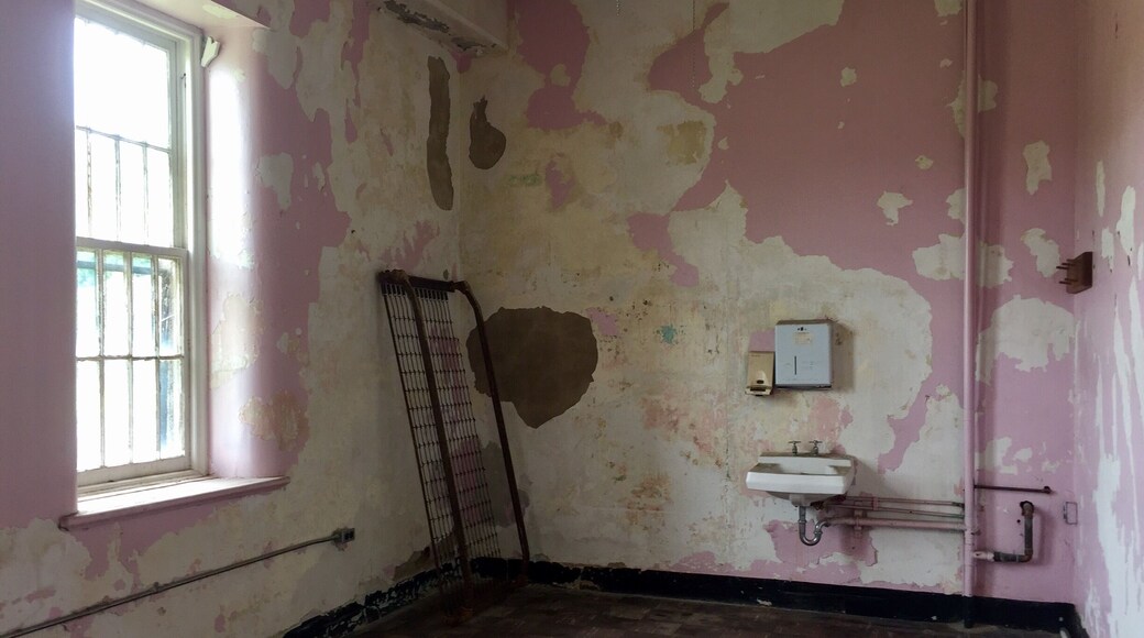 The rooms were color coded. The thought process being that if a resident got 'misplaced' they could ask for help getting back by knowing their color. This is one of the rooms in the unrestored wing.