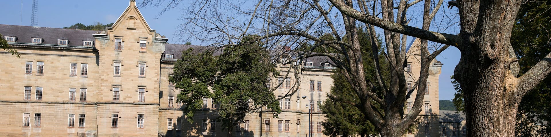 A historic building with a large lawn and a prominent tree in the foreground.