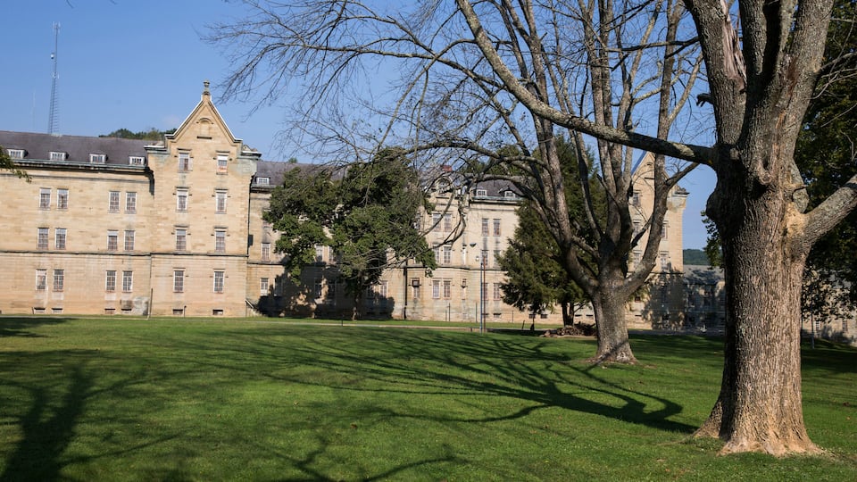 A historic building with a large lawn and a prominent tree in the foreground.