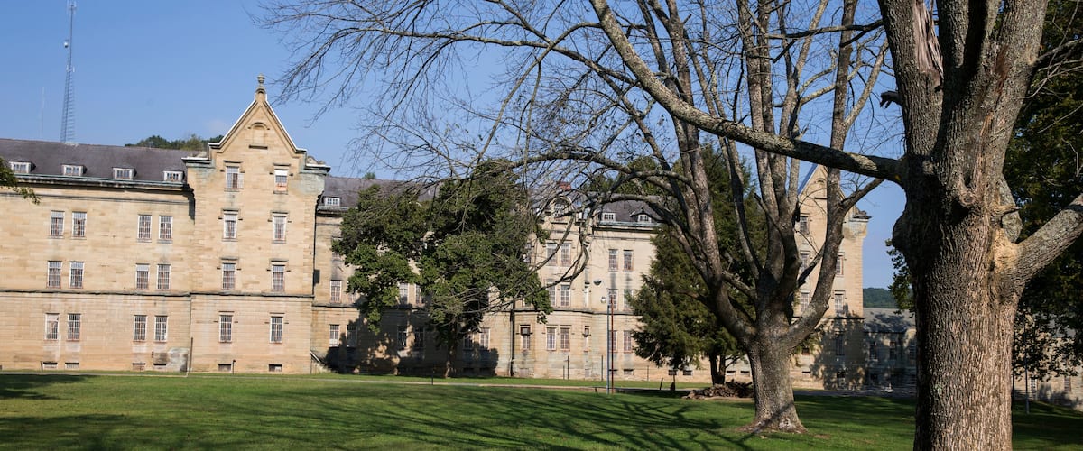A historic building with a large lawn and a prominent tree in the foreground.