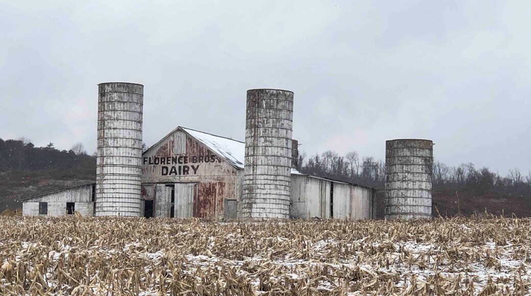 Old dairy barn out Lost Pavement Rd