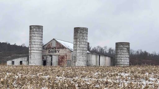 Old dairy barn out Lost Pavement Rd