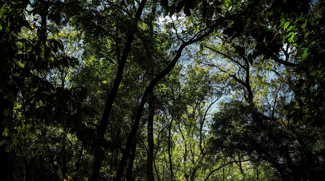 Blennerhassett Island and Mansion have an interesting history!