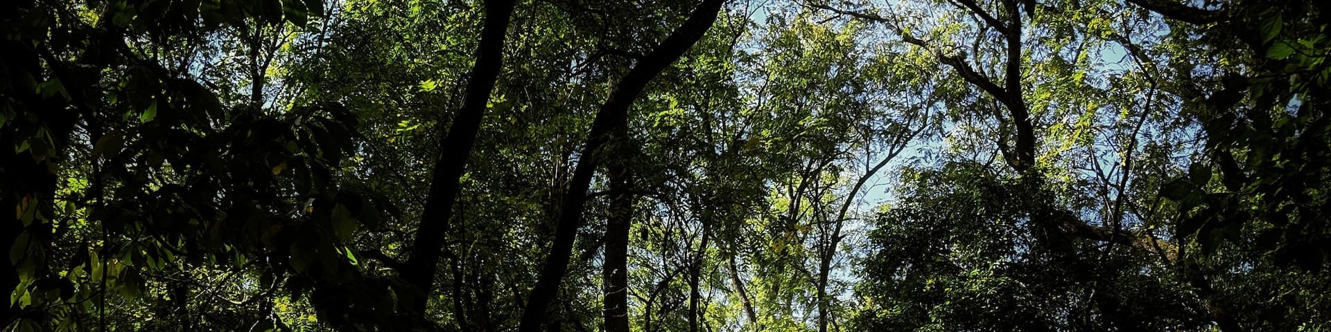 Blennerhassett Island and Mansion have an interesting history!