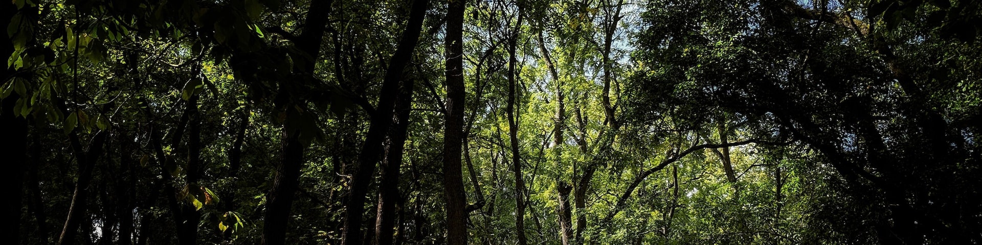 Blennerhassett Island and Mansion have an interesting history!