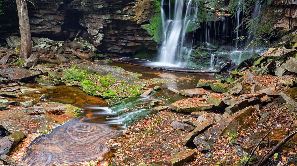 Elakala Falls - Canaan Valley, West Virginia