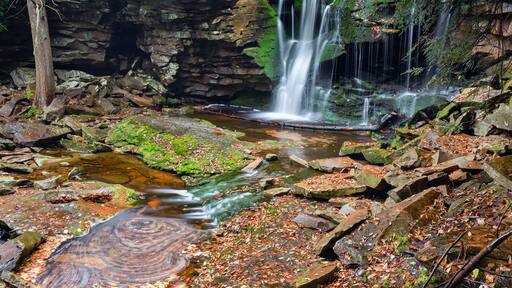 Elakala Falls - Canaan Valley, West Virginia