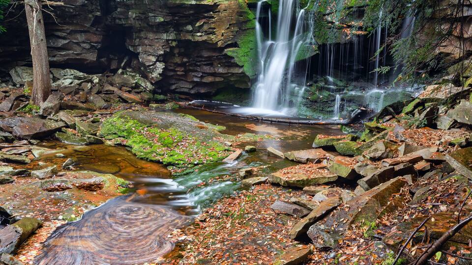 Elakala Falls - Canaan Valley, West Virginia