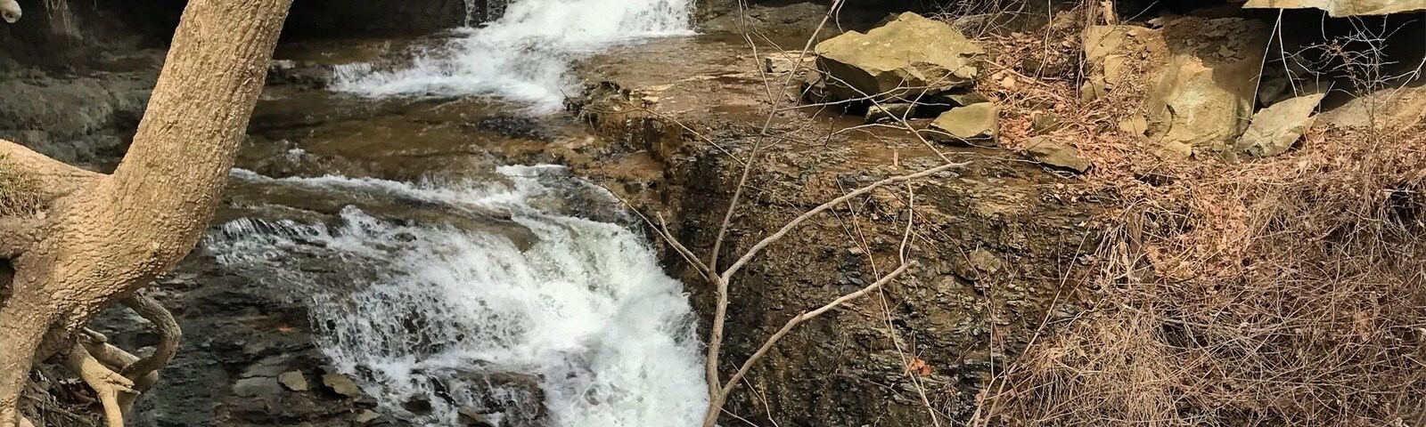 Um riacho pedregoso com água em cascata, rodeado por árvores desnudas e folhas secas.