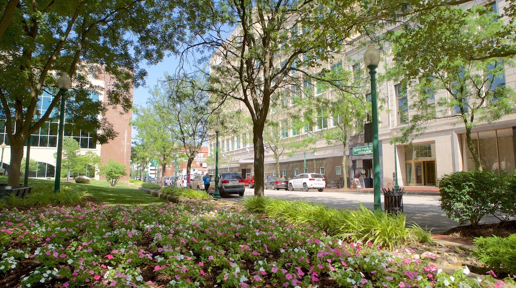 Charleston showing a park and street scenes