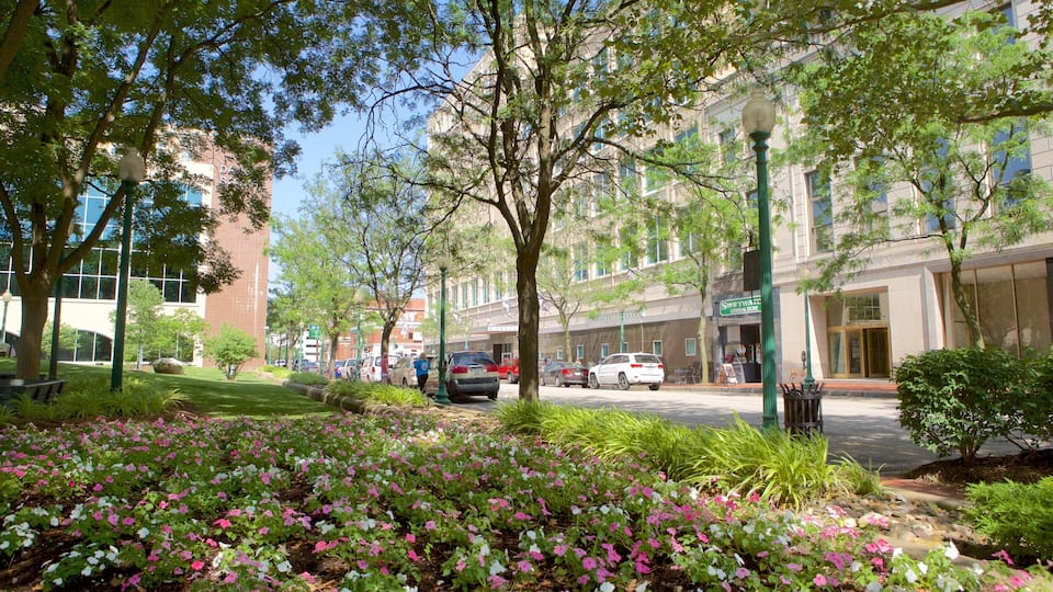 Charleston showing street scenes and a park
