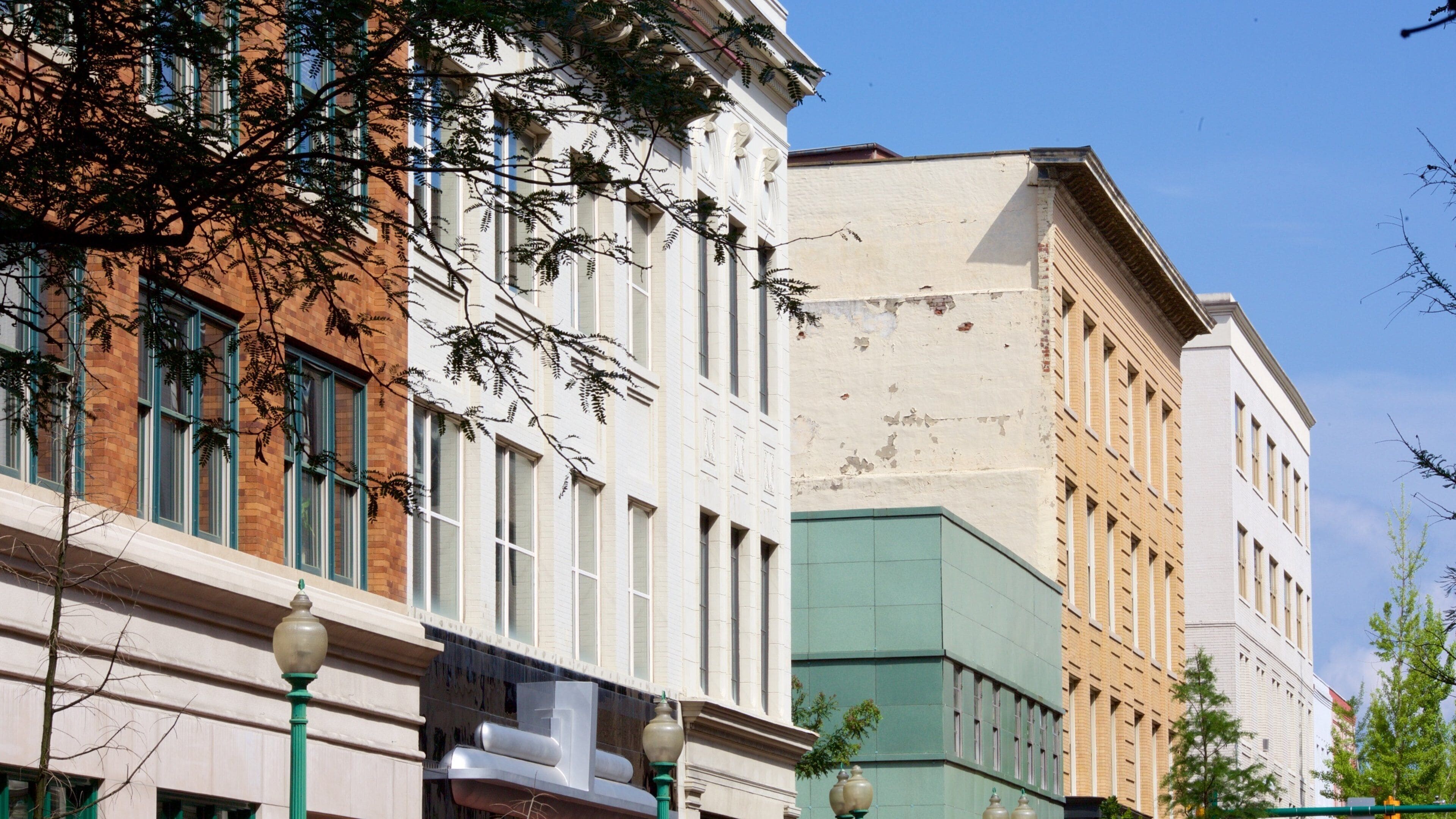 Charleston showing heritage elements and a city