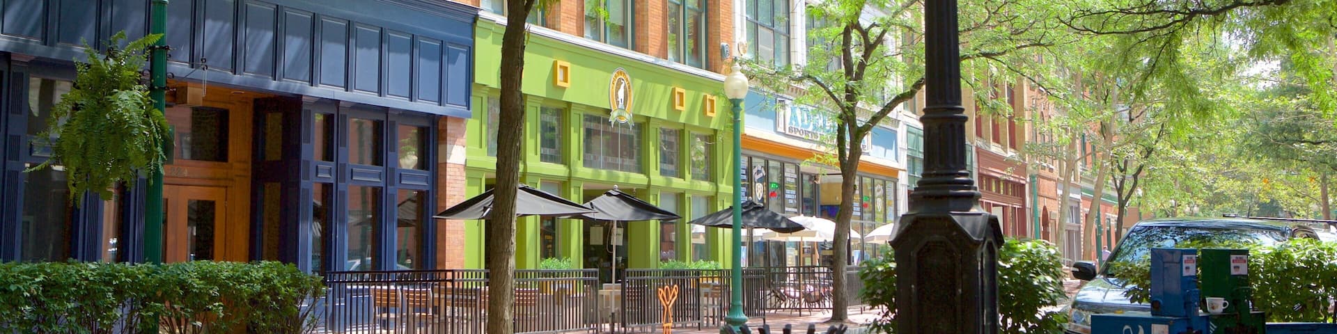 Charleston featuring street scenes and a city