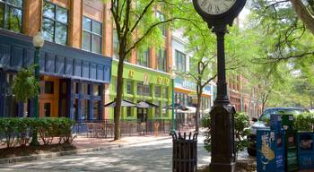 Charleston montrant scĂšnes de rue et ville