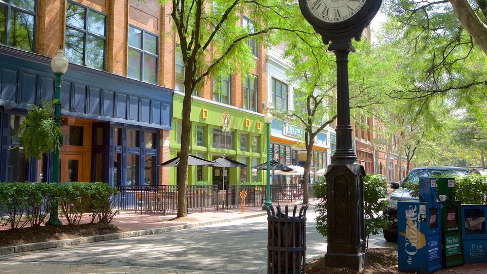 Charleston which includes street scenes and a city