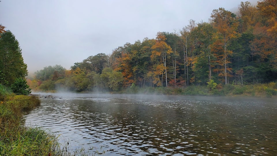 A river with clear water, surrounded by trees with autumn foliage.